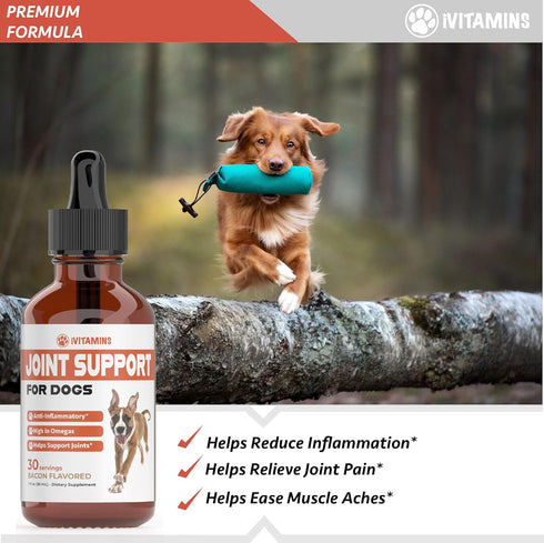 Joint Support Supplement for Dogs | Dog Hip and Joint Supplement | Supports Healthy Hips, Joints, & Much More | Dog Joint Supplement | Joint Suppl...
