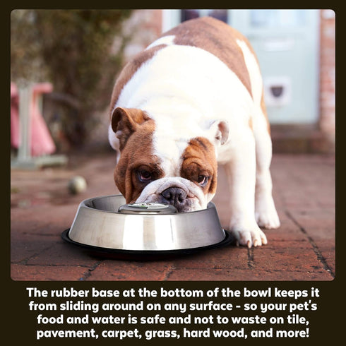 Iconic Pet Set of 2 Stainless Steel Anti-Skid Slow Feed Bowls for Small Dogs (12 oz) - Ideal for Food and Water, Durable Design with Raised Center...