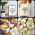 16 Pieces Tree of Life Stencils 6 Inch Reusable Stencils for Painting Small Tree Stencils Plastic Painting Stencils Tree Drawing Templates for Pai...