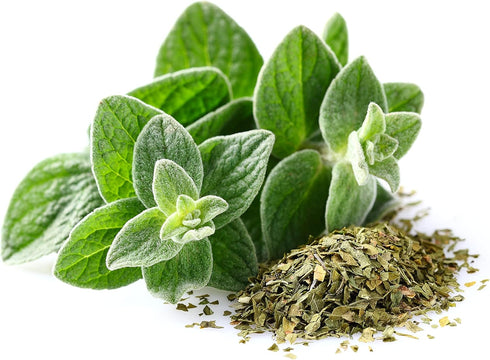 Greek Oregano Herb Seeds for Planting, 2500+ Seeds Per Packet, (Isla's Garden Seeds), Non GMO & Heirloom Seeds, Botanical name: Origanum vulgare, ...