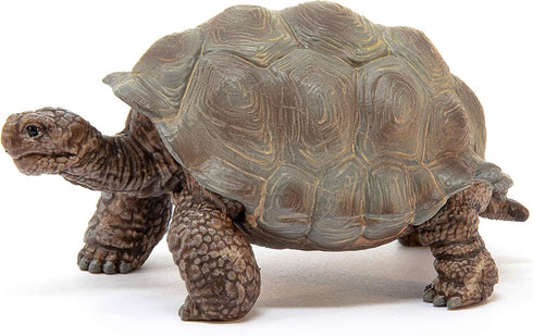 Schleich Wild Life Realistic Exotic Galapagos Giant Tortoise Figurine - WIld Animal FIgurine Giant Tortoise Toy for Wildlife Play and Imagination ...
