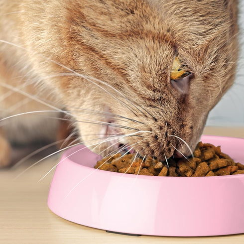 CatGuru Cat Bowls, Whisker Stress Free Cat Food Bowl, Reliefs Whisker Fatigue, Wide Cat Bowl, Non Slip Cat Food Bowls, Shallow Cat Dish, Cat Feedi...
