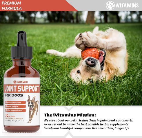 Joint Support Supplement for Dogs | Dog Hip and Joint Supplement | Supports Healthy Hips, Joints, & Much More | Dog Joint Supplement | Joint Suppl...