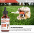 Joint Support Supplement for Dogs | Dog Hip and Joint Supplement | Supports Healthy Hips, Joints, & Much More | Dog Joint Supplement | Joint Suppl...