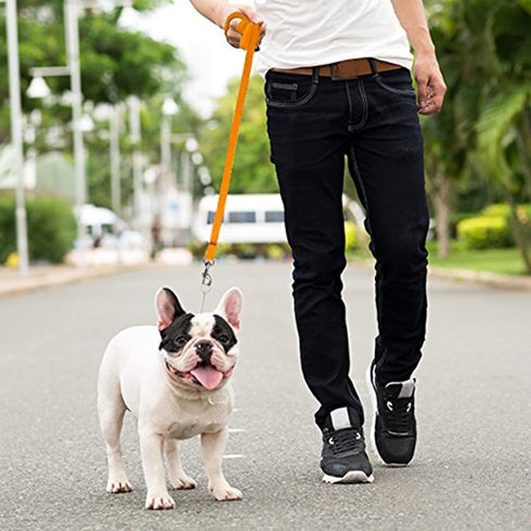 Downtown Pet Supply - Long Dog Leash - Dog Training Leash - Recall & Obedience Dog Training Tools - Nylon - 75 ft - Orange Dog Leash...