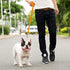 Downtown Pet Supply - Long Dog Leash - Dog Training Leash - Recall & Obedience Dog Training Tools - Nylon - 75 ft - Orange Dog Leash...