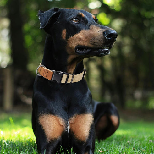 Mile High Life Dog Collars | Soft Cotton Dog Collars w Heavy Metal Buckle | Classic Puppy Collar w Premium Genuine Leather Tips | Pet Collars for ...
