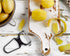 HIC Kitchen Swiss Pro Y Peeler, Surgical Stainless Steel Blade, BPA Free...