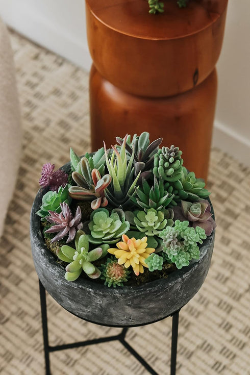 Artificial Succulent Plants - 18 Pack - Premium Fake Plants - Double Flocked Succulents - Realistic Textured Cactus - Face Succulent Plants - Mini...