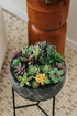 Artificial Succulent Plants - 18 Pack - Premium Fake Plants - Double Flocked Succulents - Realistic Textured Cactus - Face Succulent Plants - Mini...