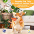 2.4" Squeaky Latex Dog Toy Ball Sports Balls Sets, Soft, Bouncy & Durable for Small Medium Dogs Puppy Interactive Chew Toys 5 Pcs/Set...