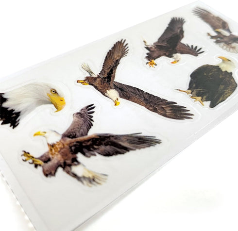 Paper House Productions Pack of 3 Sticker Half-Sheets for Crafts, Scrapbooking & Collecting - Bald Eagles...