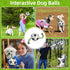 Dog Balls on Rope, Dog Soccer Ball with Strap, Tug of War Soccer Ball for Dogs, Outdoor Dog Toys, Dog Plush Toys for Small Medium Dogs, Dog Birthd...