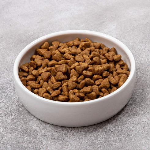 Ceramic Pet Bowl for Cats,Classic Ceramic Cat Dish Dog Bowls for Food and Water,12 Liquid Ounce...