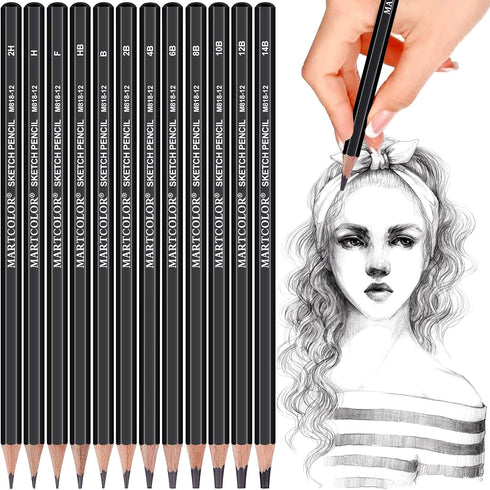 YUANCHENG Professional Drawing Sketching Pencil Set - 12 Pieces,Graphite,(14B - 2H), Graphite Pencils for Drawing, Shading Pencils for Sketching, ...