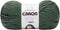 Caron Yarn Simply Soft PAR DK, Dark Sage Sparkle...