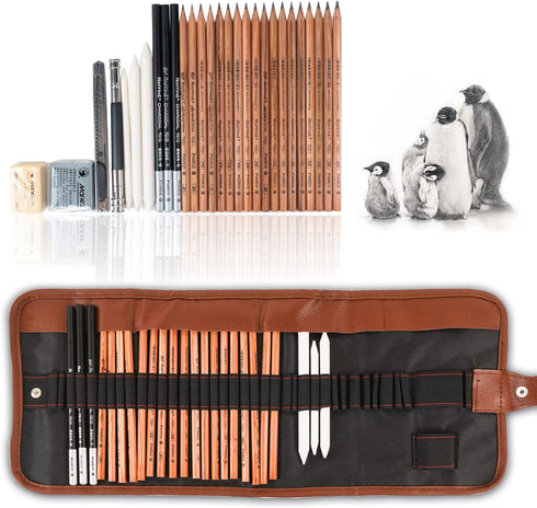 29 Pieces Professional Sketching & Drawing Art Tool Kit With Graphite Pencils, Charcoal Pencils, Paper Erasable Pen, Craft Knife-Lightwish (withou...