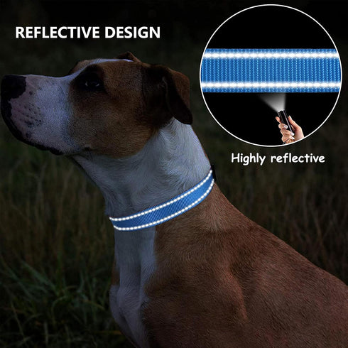 Reflective Nylon Dog Collars 2pcs,with Quick Release Buckle,Adjustable Safety Nylon Collars for Small Medium Large Dogs (Medium :Width1,Neck 14"-2...