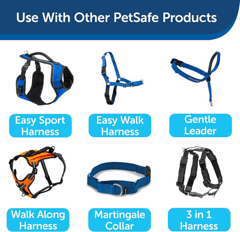 PetSafe Nylon Dog Leash - Strong, Durable, Traditional Style Leash with Easy to Use Bolt Snap - 1 in. x 4 ft., Royal Blue...