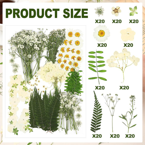 Fabbay 200 Pcs Dried Pressed Flowers Real Dry Natural Flower Leaf Dried Flowers for Resin Pressed Flower Kit for Plant Herbarium Scrapbooking DIY ...