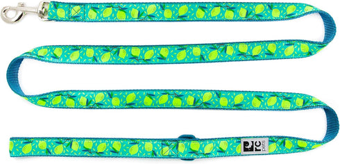 RC Pets 1" x 6' Dog Leash, Lemonade...