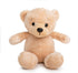 Ganz 9" Get Well Soon Teddy Bear with Gray Hoodie - Feel Better Gift for Kids & Women (Tan Nose Stuffed Animal)...