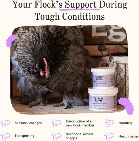 Grubbly Farms Prebiotics + Probiotics for Chickens (30 Day)...
