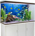 YongFoto 72x18 Inches Tropical Fish Terrarium Background Deep Sea Marine Coral Polyester Aquarium Background Glass Fish Tank Backdrop for Photogra...