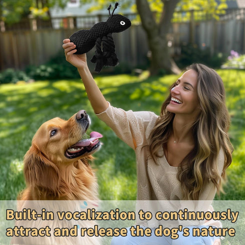 ant Plush Dog Toys Which Puppy Stuffing and Ant Scream?Boring Interactive for Separation Anxiety Suitable for Small and Medium Dogs to Chew and Pl...