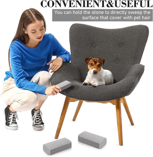 Loopeer 2 Pcs Pet Hair Remover Pumice Stone for Dog Cat Hair Removal Cleaning Pet Hair Stone 6 Inch Dog Fur Removal Tool for Car Interior Bedding ...