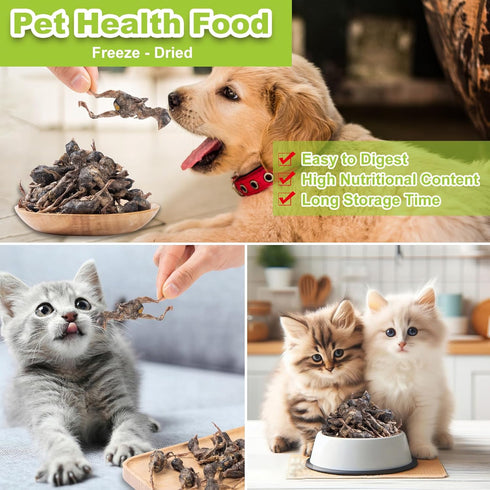 Freeze Dried Dogs Cats Treats - Little Quail Natural Dog Treats Cat Delicious Snacks Training Cat Food Healthy Easy Digestion Pet Food (3 OZ)...