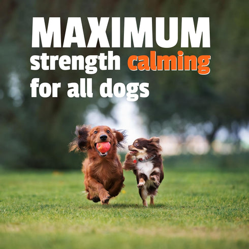 Pet Naturals BusyButter Extra Strength Calming Peanut Butter with Melatonin for Dogs - Great for Treats, Lick Mats, Training, Calming, and Enrichm...