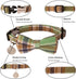 ADOGGYGO Plaid Dog Collar with Bowtie, Green Dog Collars with Detachable Bow tie Adjustable Soft Green Plaid Collars for Small Medium Large Dogs P...