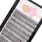 8-22mm to Choose 20D/40D/60D/80D/100D Individual False Eyelashes Makeup Cluster Eyelashes Thickness 0.07mm D Curl Natural long Black Soft 3D Eye L...