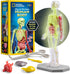 National Geographic Human Body Model for Kids That Glows in The Dark - 32-Piece Interactive Anatomy Model with Bones, Organs, Muscles, Stand, Forc...