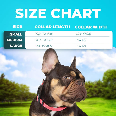 BLAZIN 'Color Me Happy!' Reflective Dog Collar for Day and Night - Adjustable Soft Neoprene Padded Dog Collar in 4 Vibrant Colors - Keeps Dogs Saf...