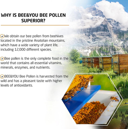 Bee and You - 100% Natural and Raw Bee Pollen Granules, Bee Pollen Supplement, Natural Superfood, Amino Acids, Antioxidants, Enzymes, Vitamin B, P...