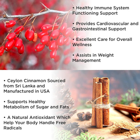 Berberine with Ceylon Cinnamon Gummies — Sugar-free, 98% Pure & 10x Absorption — 1200mg Organic Berberine Supplement for Weight Loss, Immunity, Ca...