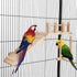 Bird Perches Platform Swing with Climbing Ladder, Parakeet Cage Accessories Wooden Playing Gyms Exercise Sturdy for Small Birds...