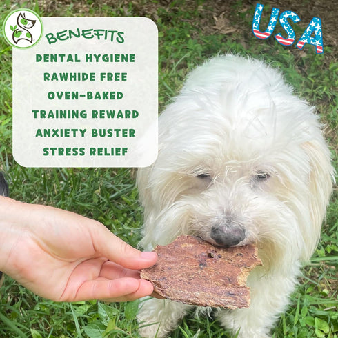 Nature Gnaws USA Crunch Chips for Dogs - Single Ingredient Natural Dog Chew Jerky Treats – Made in USA (6 oz)...