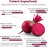WellPath Beet Root Gummies (Sugar Free - Blueberry Flavor) 1500 mg | Beet Gummies for Blood Pressure Support | Super Nitric Oxide Gummies | Tasty ...