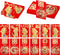 48 Pcs Chinese Red Envelopes 2024 Lucky Money Envelopes Hong Bao Red Pocket Envelope for Money Year of the Dragon 2024 Gifts for Spring Festival W...