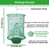6 Pack Ranch Fly Trap, 2024 New Hanging Fly Catcher, The Most Effective Trap Ever Made with Pots, Cage Catcher for Indoor and Outdoor, Family Farm...