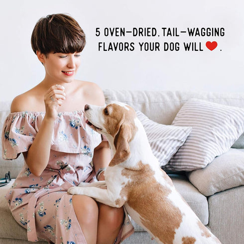 Farmland Traditions New Filler Free Dogs Love Pork Premium Jerky Treats for Dogs (13.5 oz.)...