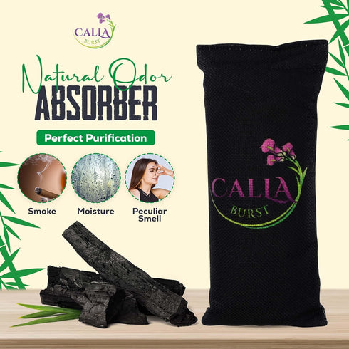 Bamboo Charcoal Air Purifier and Odor Eliminator Bags - Eco-Concsious Activated Charcoal Odor Absorber for Home, Car, Pets, Natural Freshness, Lon...