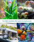 Pawfly Aquarium Air Stone Disc Bubbler 1.5 inch, Oxygen Diffuser Airstone for Nano Air Pumps Fish Tanks Buckets Small Ponds and DWC Reservoirs, 4 ...