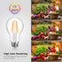 Lepro Vintage LED Bulbs, Dimmable Filament Bulb, 8W 800LM, 60W Equivalent, 2700K Warm White, Classic Clear Glass, A19 Shape, E26 Base, Pack of 5...