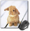 3dRose LLC 8 x 8 x 0.25 Inches Mouse Pad, Adorable Barbara Bunny Rabbit (mp_55173_1)...