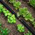 25 Pieces Drip Irrigation Coupling Fittings, 1/2'' Drip Line Barbed Coupler Connectors for 5/8", 1/2", 700" Drip Tubing for Garden Drip Sprinkler ...