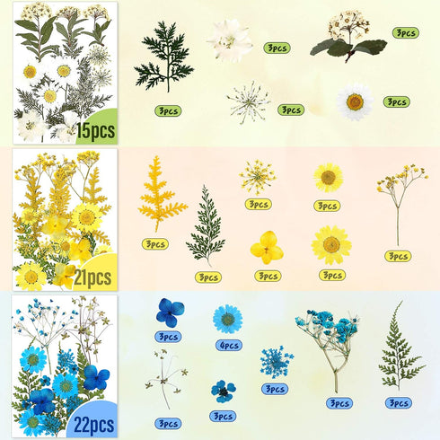 Nuanchu 223 Pcs Real Dried Pressed Flowers for Crafts Natural Dried Leaves and Butterfly Stickers Set Colorful Daisy Flowers and Adhesive Butterfl...